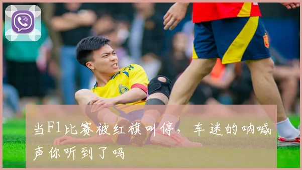 当F1比赛被红旗叫停，车迷的呐喊声你听到了吗