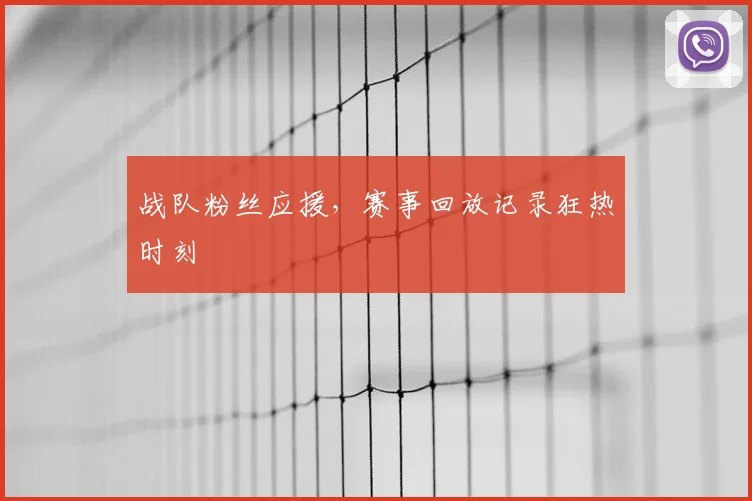 战队粉丝应援，赛事回放记录狂热时刻