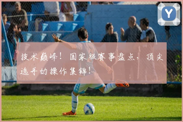 技术巅峰!国家级赛事盘点,顶尖选手的操作集锦!