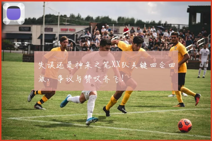 失误还是神来之笔XX队关键回合回放，争议与赞叹齐飞！